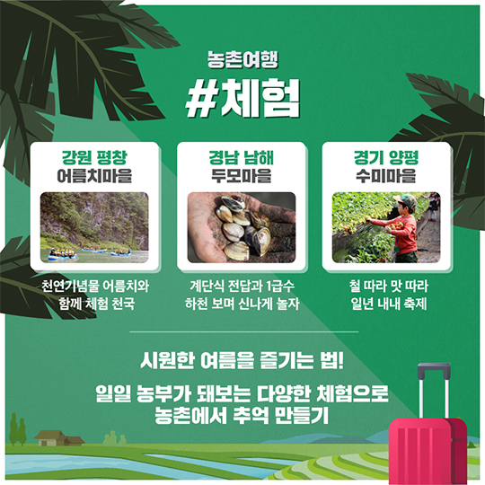 국내 여름 취향저격 휴양지 9선