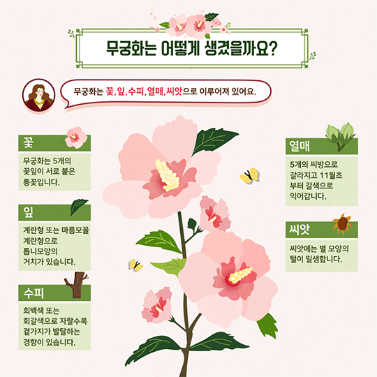 나라꽃 ‘무궁화’와 놀자