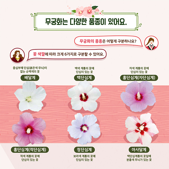 나라꽃 ‘무궁화’와 놀자
