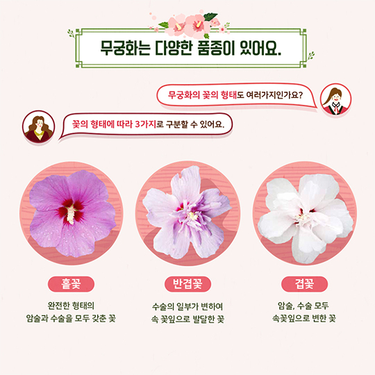 나라꽃 ‘무궁화’와 놀자