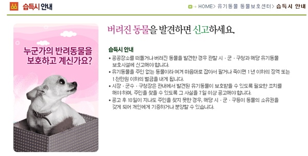 버려진 동물은 반드시 신고해야 한다.