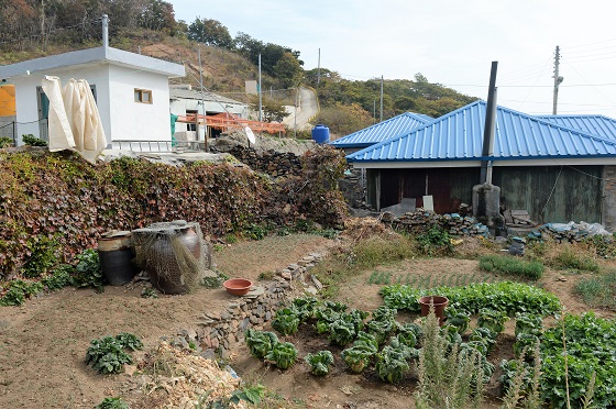 영국인들이 보았던 갈대와 짚으로 엉성하게 엮어 지었다는 소청도 섬마을 집들이다.