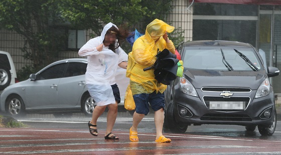  제19호 태풍 '솔릭'이 제주를 강타한 23일 오전 제주시 노형동 한 거리에서 강한 비바람이 몰아치는 궂은 날씨 속에 비옷을 입은 도민들이 위태롭게 횡단보도를 지나고 있다.(사진=저작권자(c) 연합뉴스, 무단 전재-재배포 금지)