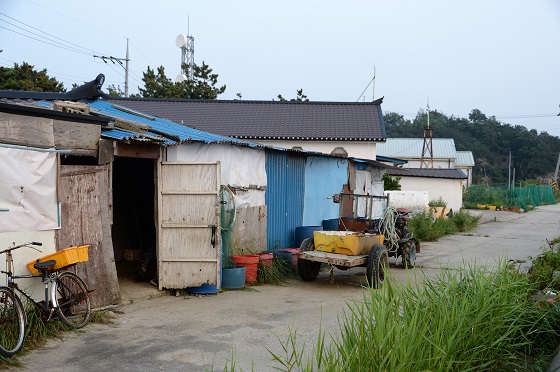 유부도 집들은 임시거처를 겨우 면한 곳들이 많다. 염전을 조성할 때 들어와 ‘떼집’을 집어 초가를 올린 것이 시작이었다. 제 땅이 아닌 곳에 지은 집도 많다. 앞으로 해결해야 할 부분이다.