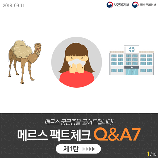 메르스 팩트체크 Q&A