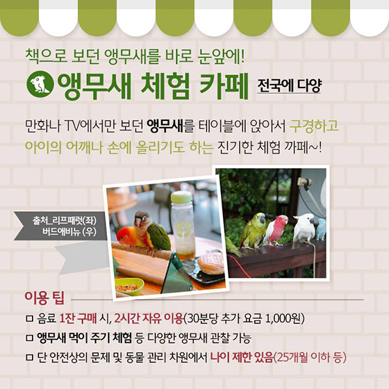 카페가지요 이미지