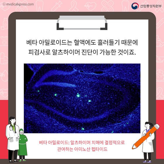 간단한 피검사로 치매 예측할 수 있다고?