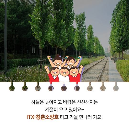 ITX-청춘소양호 타고 가을로 떠나자!