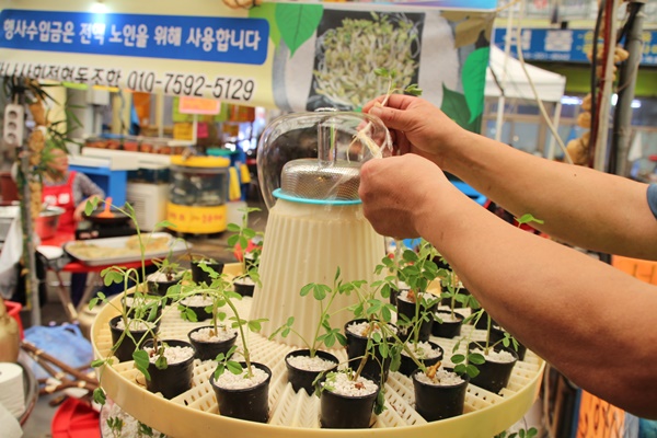 안양중앙시장은 땅콩새싹을 이용한 슈퍼푸드를 개발해서 이벤트로 선보이고 있다.
