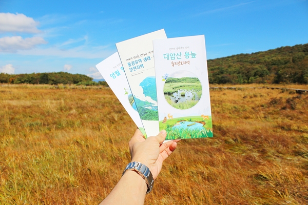 용늪 및 DMZ 생태관광 팸플릿