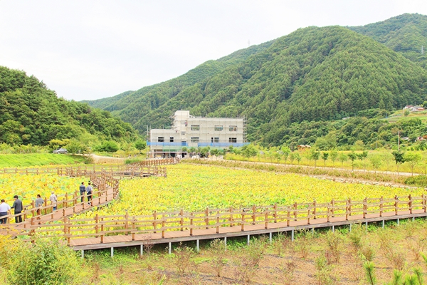냇강마을을 아름답게 물들은 수경정원