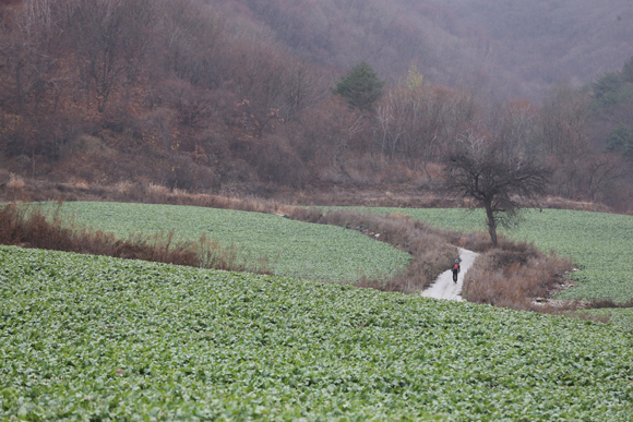 DMZ 펀치볼 둘레길. (사진=저작권자 (c) 연합뉴스. 무단전재-재배포금지)