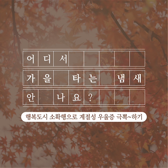 어디서 가을 타는 냄새 안 나요?