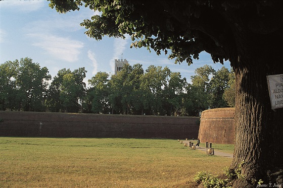 공원화된 룩카의 도시 성벽. 성벽 너머로 산 마르티노 대성당의 종탑이 보인다.