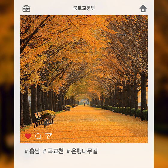막 찍어도 인생샷…아름다운 우리강 탐방로 100선