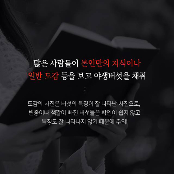 야생버섯 대부분 독버섯 함부로 따먹으면 큰일나요