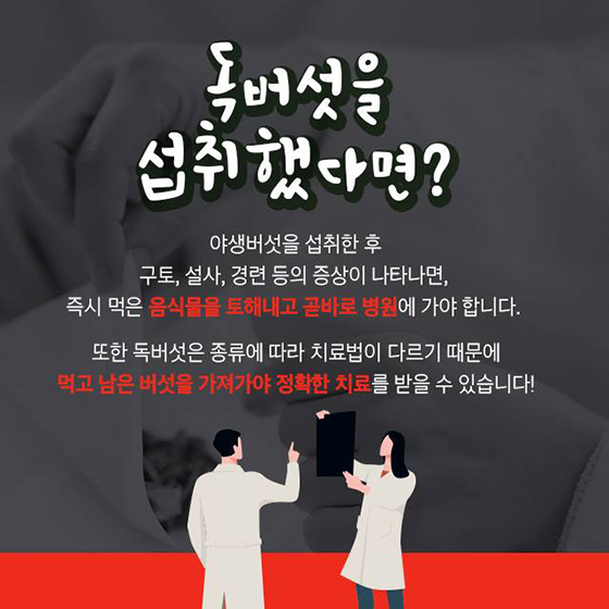 야생버섯 대부분 독버섯 함부로 따먹으면 큰일나요