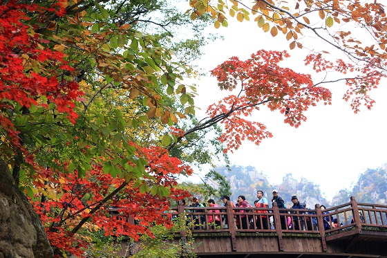  남설악 오색지구 주전골에 많은 등산객이 몰려 산행을 즐기고 있다.(사진=저작권자(c) 연합뉴스, 무단 전재-재배포 금지)