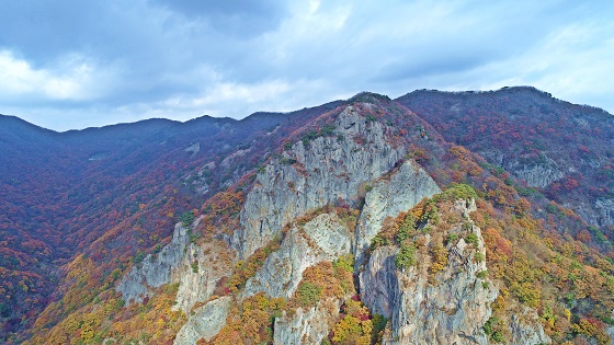 학바위 주변 단풍 모습.