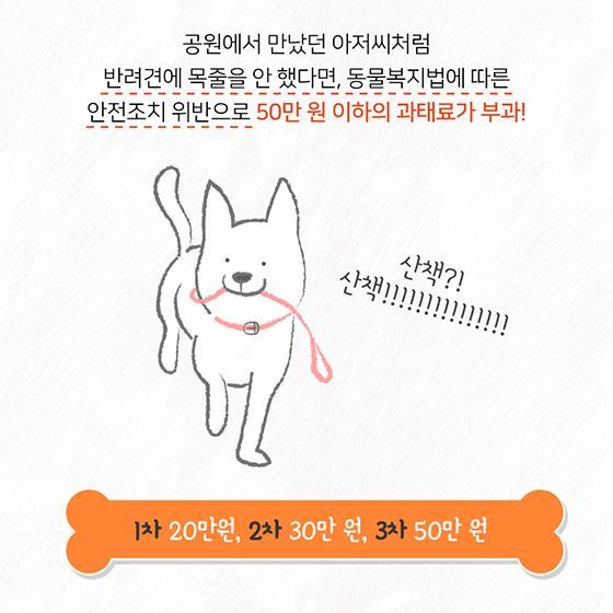 반려동물 키울 때 주의사항은?