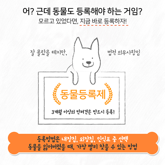 반려동물 키울 때 주의사항은?