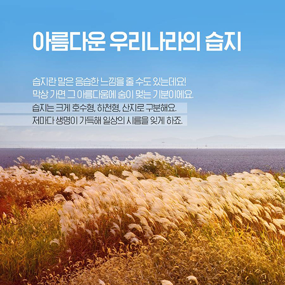 나의 람사르습지 답사기