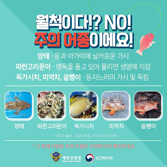 ‘바다낚시’ 응급 상황 별 처치 방법