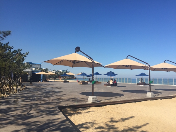 <삼척의 항구와 해변 주변을 정비하여 사람들이 편하게 찾아오기 좋게 되었다.> 