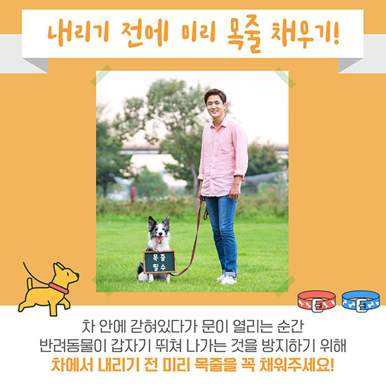 반려동물과 함께 안전한 드라이브 하는 법