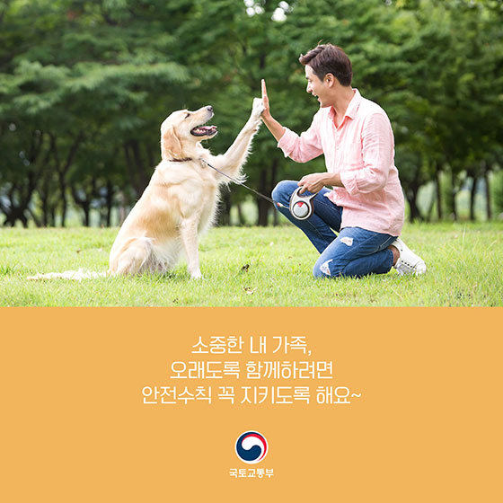 반려동물과 함께 안전한 드라이브 하는 법