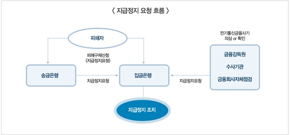 지급정지제도.(출처=금감원)