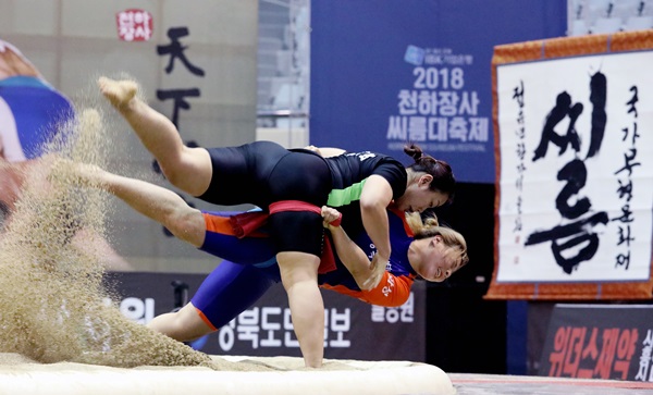 지난 23일 경북 안동체육관에서 열린 2018 천하장사 씨름대축제 여자체급별 장사전 예선전 경기.(출처=뉴스1)