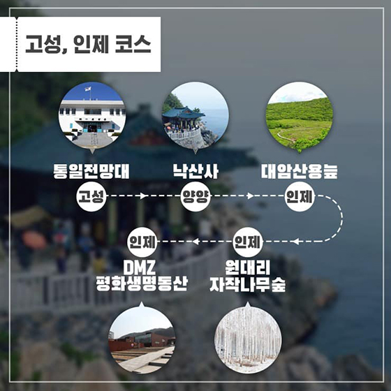 비무장지대(DMZ) 가봤니?