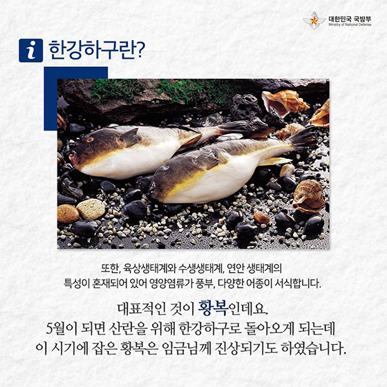 한강하구에서 평화의 물길을 열다