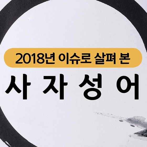 2018년 이슈로 살펴본 사자성어