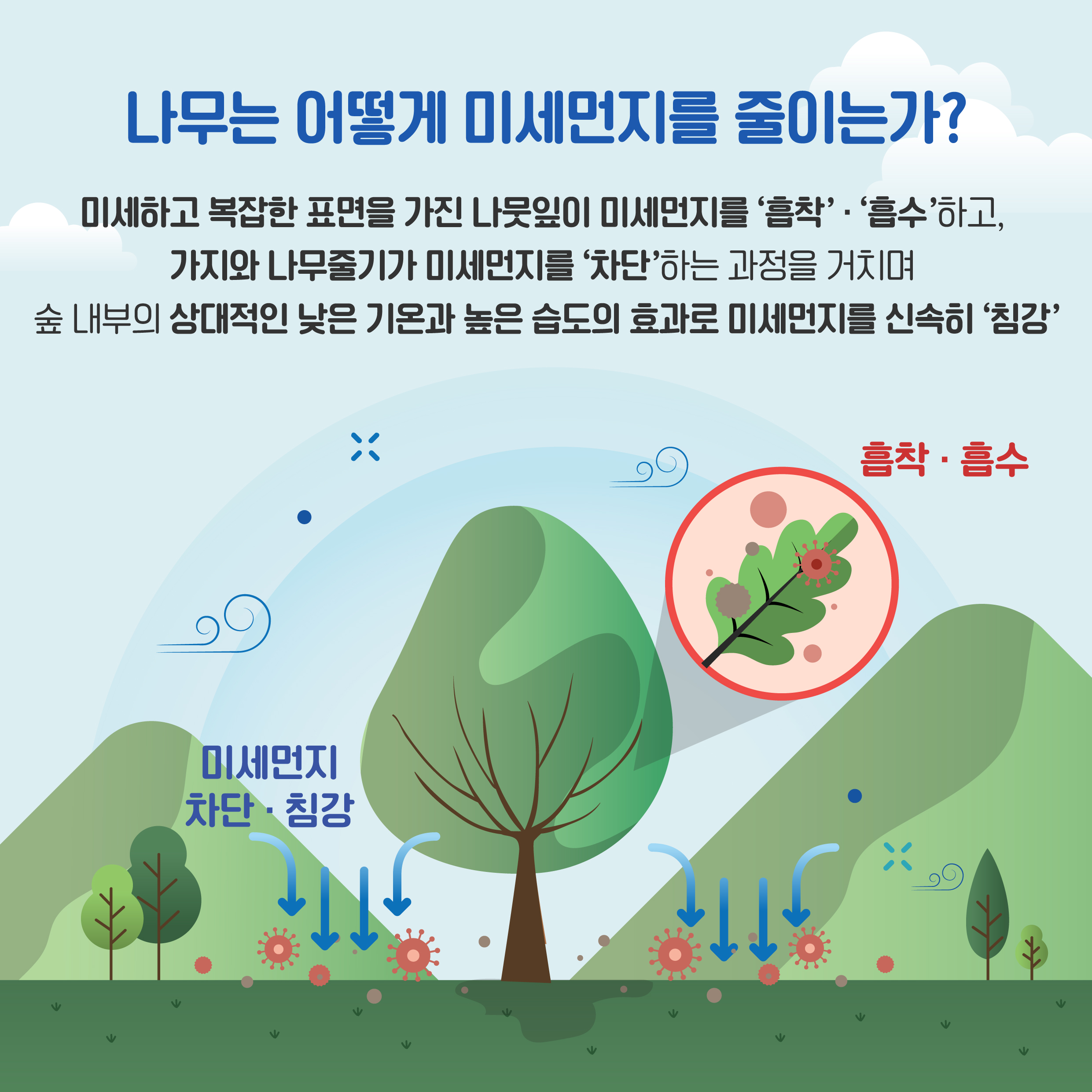 미세먼지 저감 효과가 높은 나무는 무엇? 하단내용 참조
