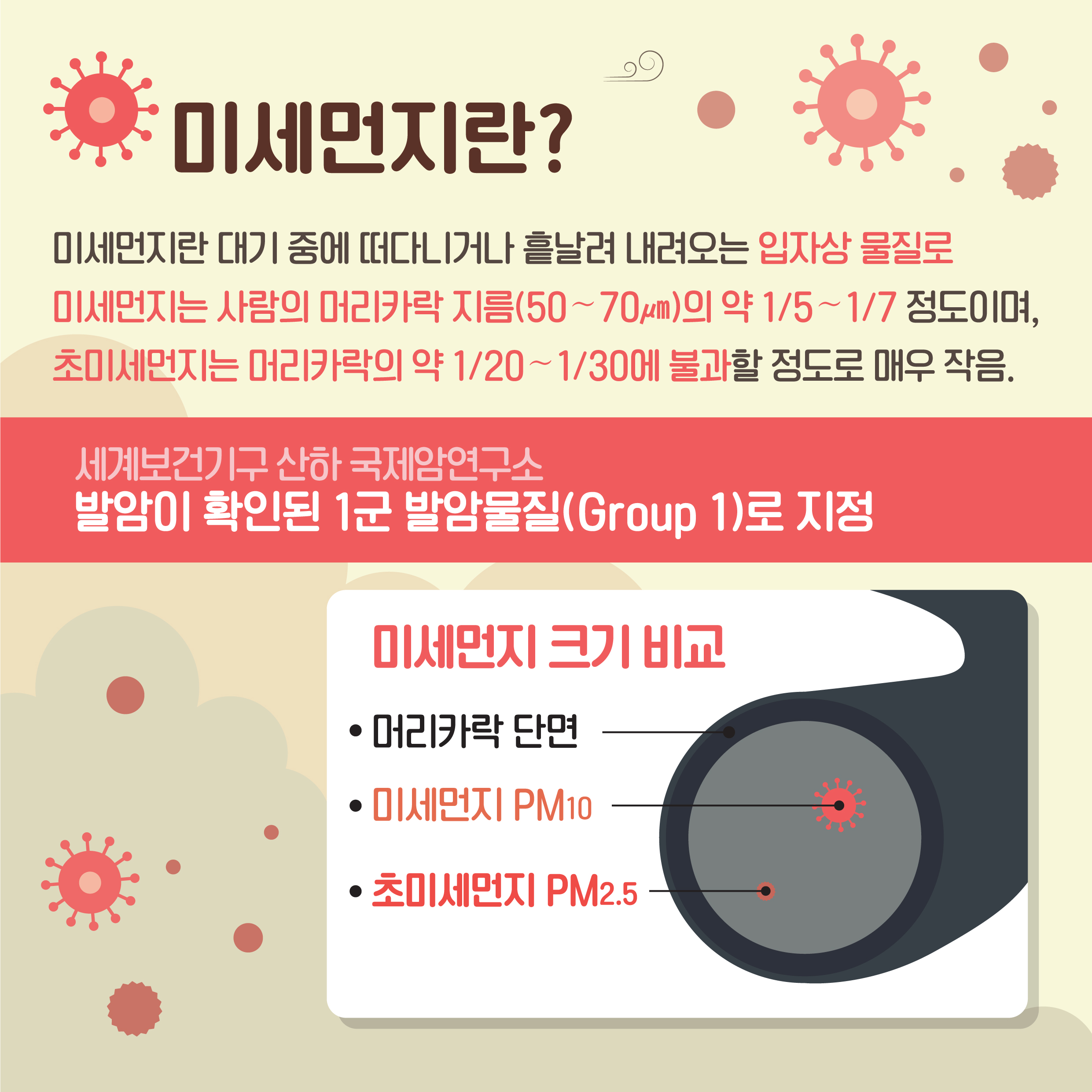 미세먼지 저감 효과가 높은 나무는 무엇?