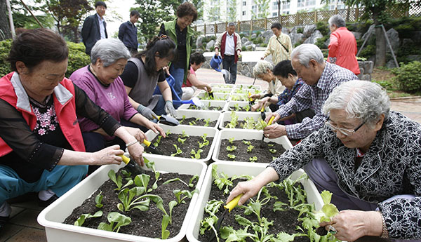 국토부는 올해 물리치료실과 텃밭 등을 갖춘 ‘고령자복지주택’을 10곳(1000가구 이상)을 추진하며, 지자체의 참여를 활성화하고 지역실정에 맞게 추진하도록 지자체·LH·지방공사로부터 대상지를 제안 받아 선정한다고 29일 밝혔다.(사진=저작권자(c) 연합뉴스, 무단 전재-재배포 금지)