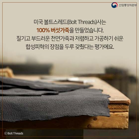 버섯이 미래다? 
