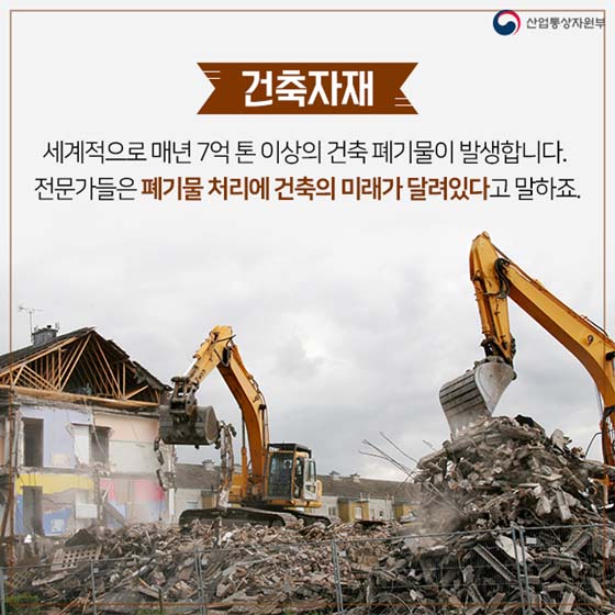 버섯이 미래다? 