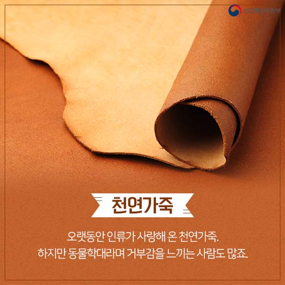 버섯이 미래다? 