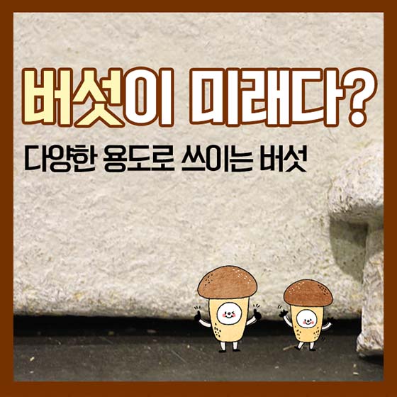 버섯이 미래다? 