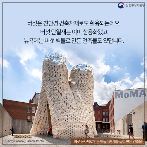 버섯이 미래다? 
