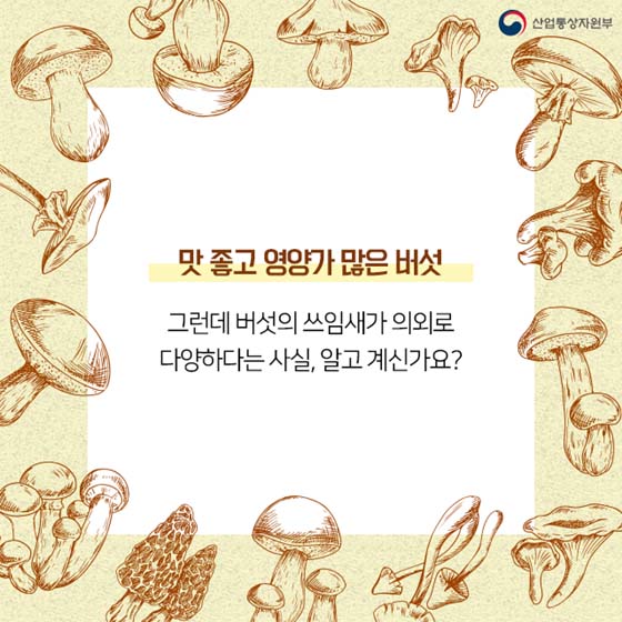 버섯이 미래다? 