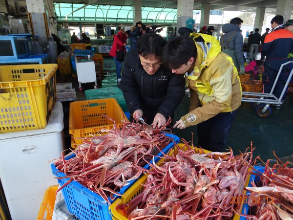 육상단속 사진.(출처=해양수산부 보도자료)