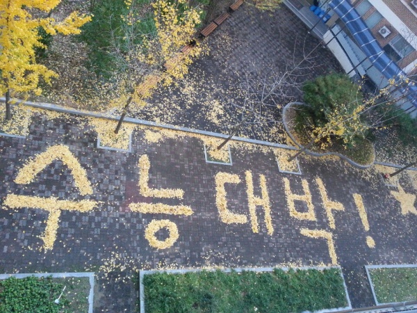 2019학년도 대학수학능력시험일인 15일 오전 전남 광양시 백운고등학교 기숙사앞에 선배들을 응원하기 위해 후배들이 은행잎으로 쓴