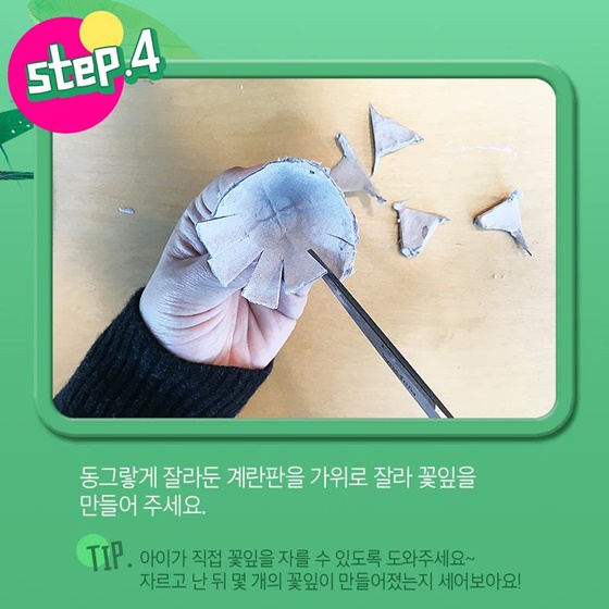 개구리가 사는 나만의 연못 만들기