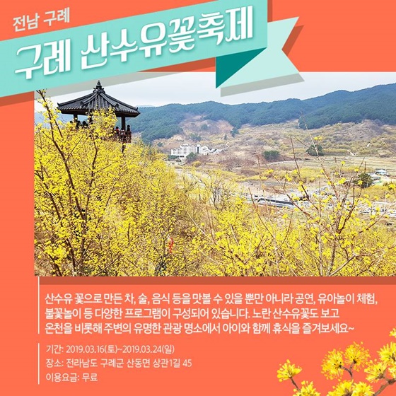 꽃향기 가득한 봄꽃축제 5