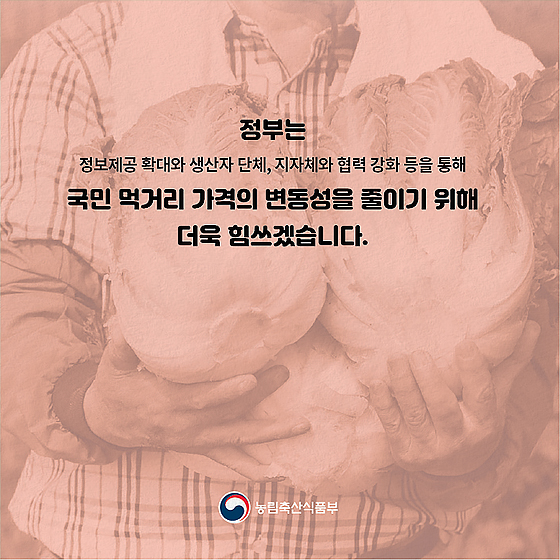 채소류, 수급조절 프로그램 따라 수급안정 지원 