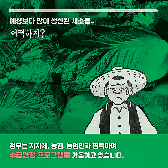 채소류, 수급조절 프로그램 따라 수급안정 지원